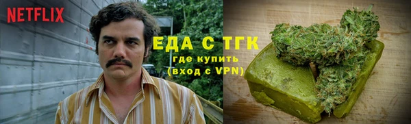 индика Красноперекопск