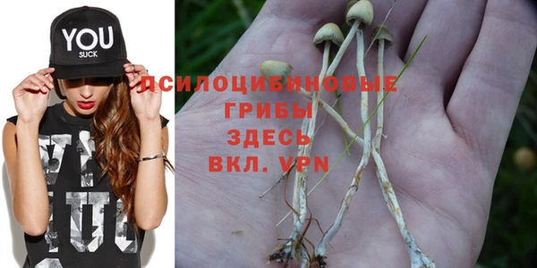spice Кукмор